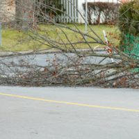 RoadDebris RoadDebris