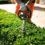 Landscaper Landscaper
