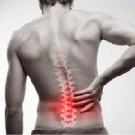 Spine Spine